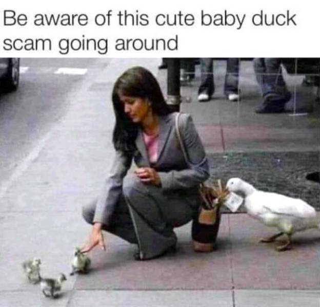 daily picdump 45 pics 5.html - 45 HD Photos | Premium Gallery 2026