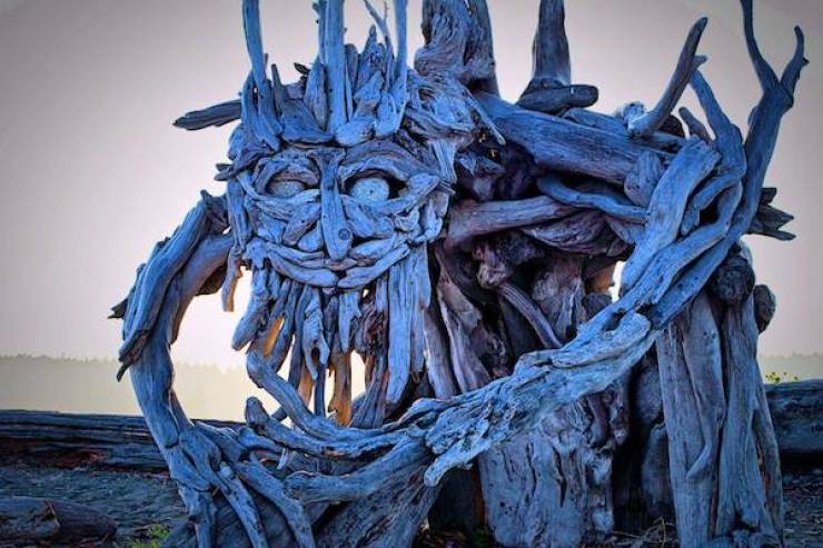 daily picdump 45 pics 5.html - 45 HD Photos | Premium Gallery 2026