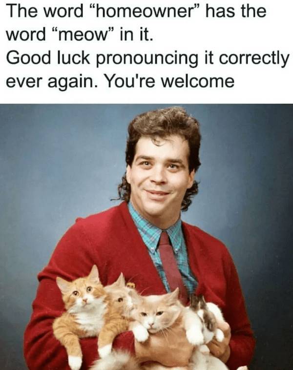 daily picdump 45 pics 5.html - 45 HD Photos | Premium Gallery 2026