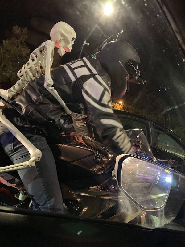 daily picdump 45 pics 5.html - 45 HD Photos | Premium Gallery 2026