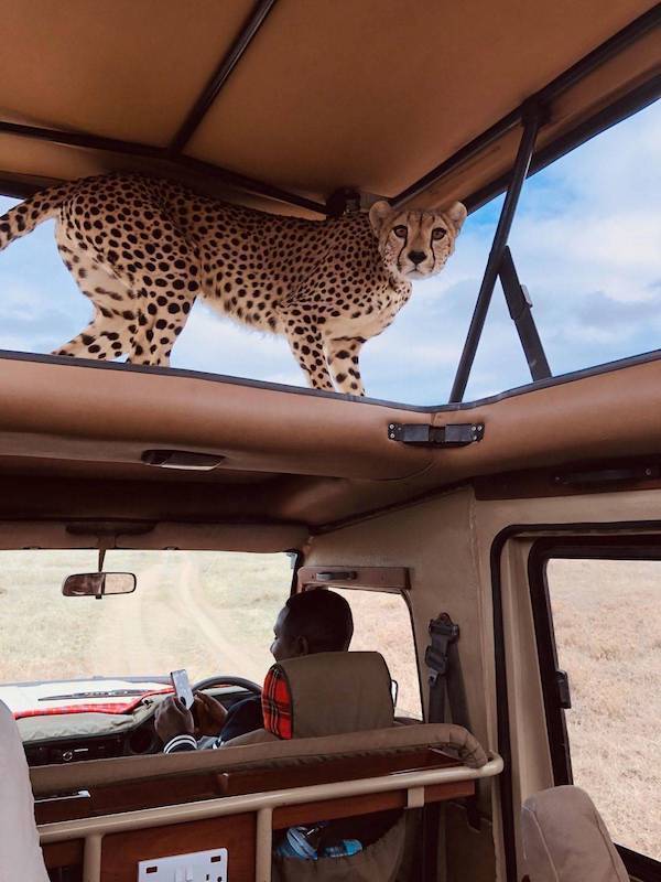 daily picdump 45 pics 5.html - 45 HD Photos | Premium Gallery 2026