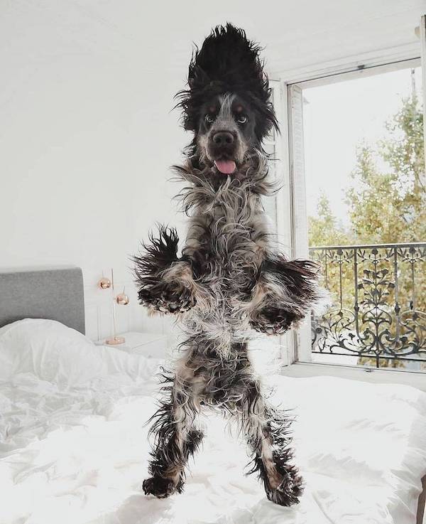 daily picdump 45 pics 5.html - 45 HD Photos | Premium Gallery 2026