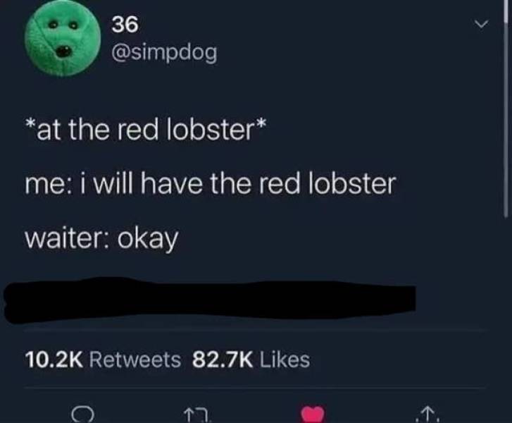 so dumb its actually hilarious 50 pics 5.html - 50 HD Photos | Premium Gallery 2026