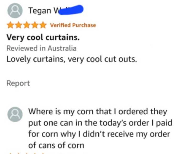 so dumb its actually hilarious 50 pics 5.html - 50 HD Photos | Premium Gallery 2026