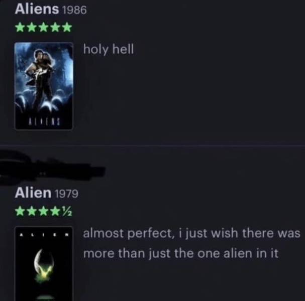 so dumb its actually hilarious 50 pics 5.html - 50 HD Photos | Premium Gallery 2026