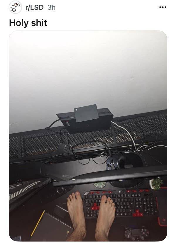 so dumb its actually hilarious 50 pics 5.html - 50 HD Photos | Premium Gallery 2026