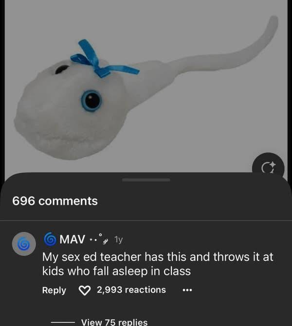 so dumb its actually hilarious 50 pics 5.html - 50 HD Photos | Premium Gallery 2026