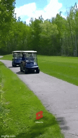 daily gifdump 52 gifs 6.html - 1 HD GIF | Premium Gallery 2026