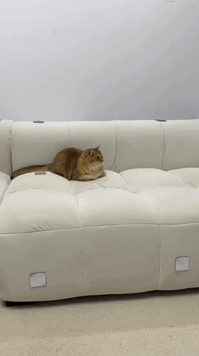 daily gifdump 52 gifs 6.html - 1 HD GIF | Premium Gallery 2026