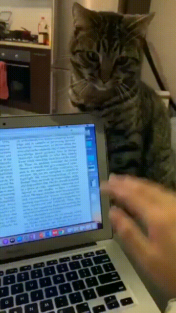 daily gifdump 52 gifs 6.html - 1 HD GIF | Premium Gallery 2026