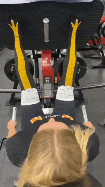 daily gifdump 52 gifs 6.html - 1 HD GIF | Premium Gallery 2026