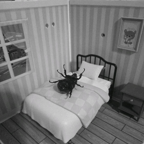 absolutely unexplainable photos 43 pics 3.html - 43 HD Photos | Premium Gallery 2026