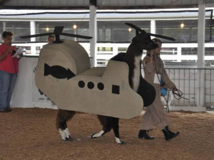 absolutely unexplainable photos 43 pics 3.html - 43 HD Photos | Premium Gallery 2026