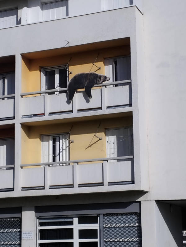 absolutely unexplainable photos 43 pics 3.html - 43 HD Photos | Premium Gallery 2026