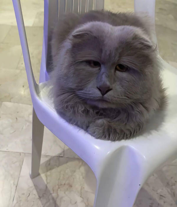 absolutely unexplainable photos 43 pics 3.html - 43 HD Photos | Premium Gallery 2026