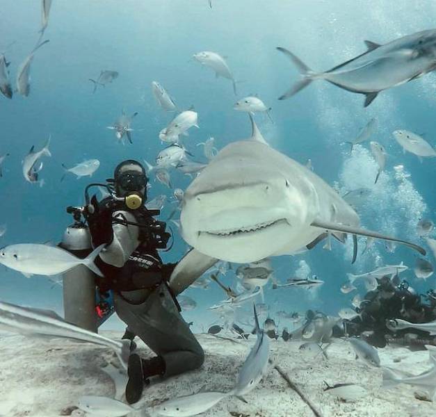 daily picdump 33 pics 2.html - 33 HD Photos | Premium Gallery 2026