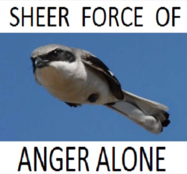 daily picdump 33 pics 2.html - 33 HD Photos | Premium Gallery 2026