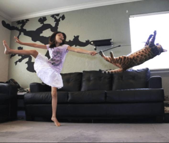 daily picdump 33 pics 2.html - 33 HD Photos | Premium Gallery 2026