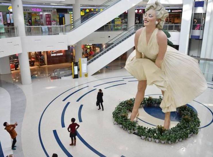 daily picdump 33 pics 2.html - 33 HD Photos | Premium Gallery 2026