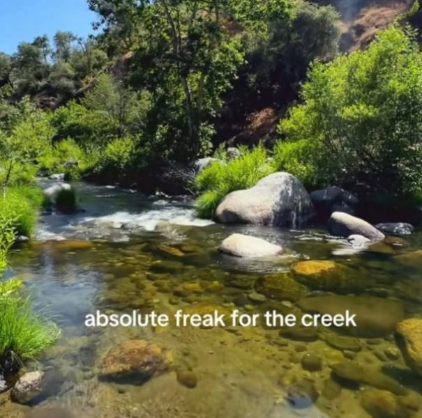 Damn, That’s Beautiful