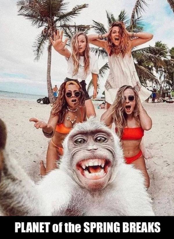 extra cheesy memes loaded with bacon 38 pics 11.html - 38 HD Photos | Premium Gallery 2026