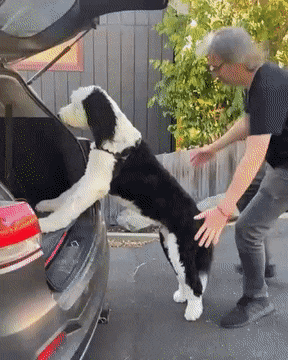 daily gifdump 47 gifs 6.html - 1 HD GIF | Premium Gallery 2026