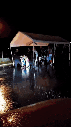 daily gifdump 47 gifs 6.html - 1 HD GIF | Premium Gallery 2026