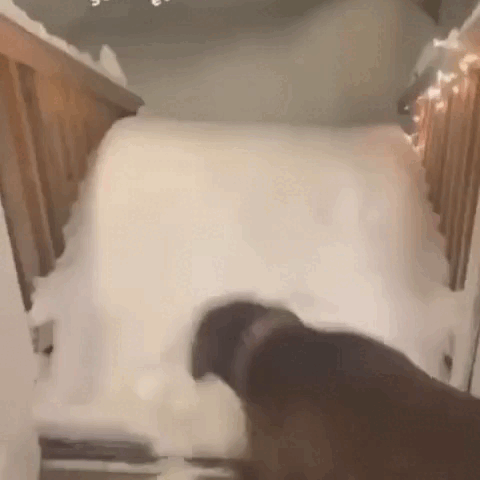 daily gifdump 47 gifs 6.html - 1 HD GIF | Premium Gallery 2026