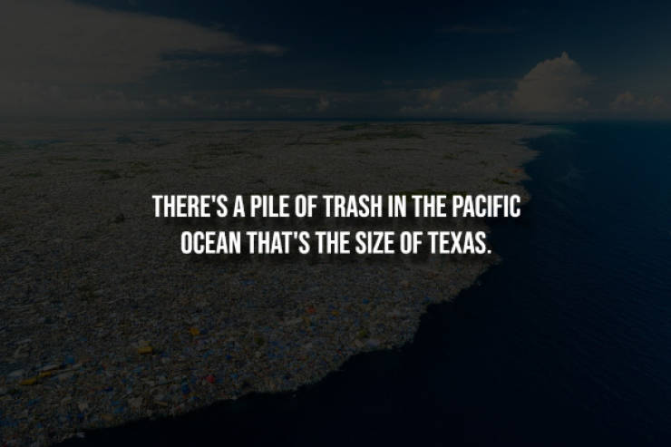 Creepy Facts That Will Haunt Your Thoughts