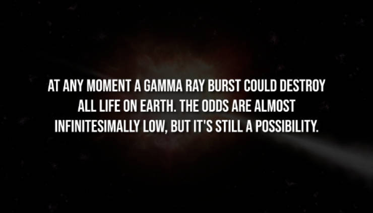 Creepy Facts That Will Haunt Your Thoughts