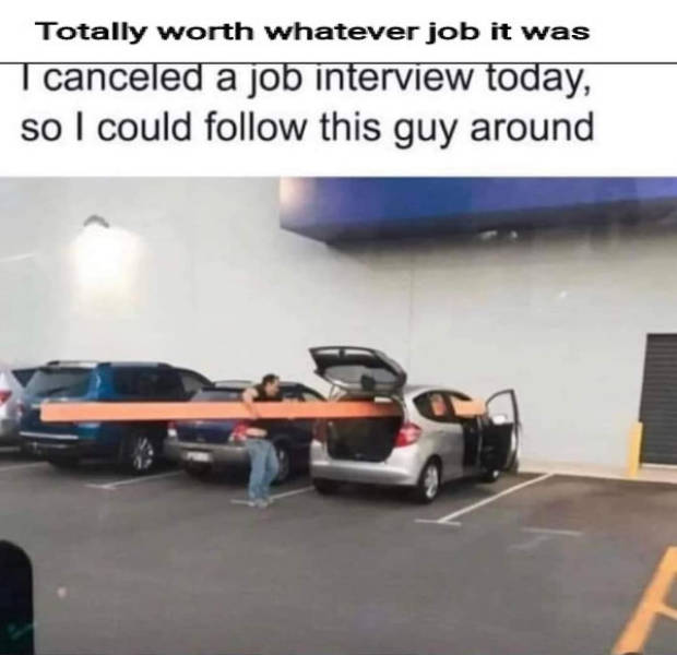 daily picdump 47 pics 2.html - 47 HD Photos | Premium Gallery 2026