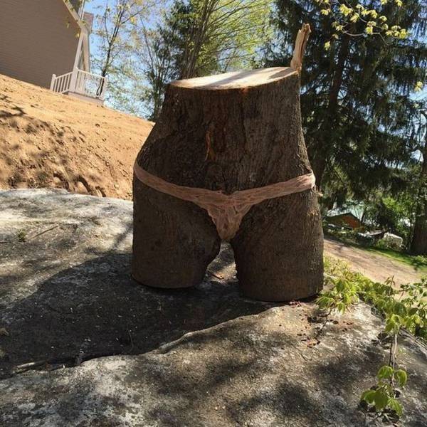 daily picdump 47 pics 2.html - 47 HD Photos | Premium Gallery 2026