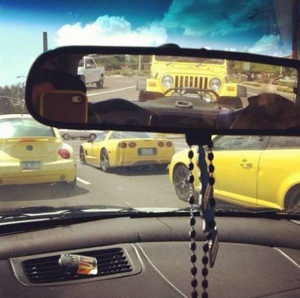 daily picdump 47 pics 2.html - 47 HD Photos | Premium Gallery 2026