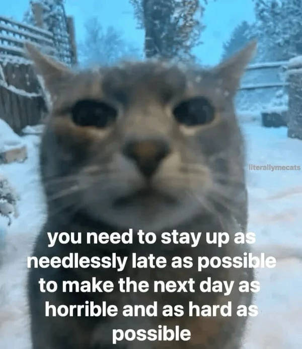 Pure Internet Energy in Meme Form