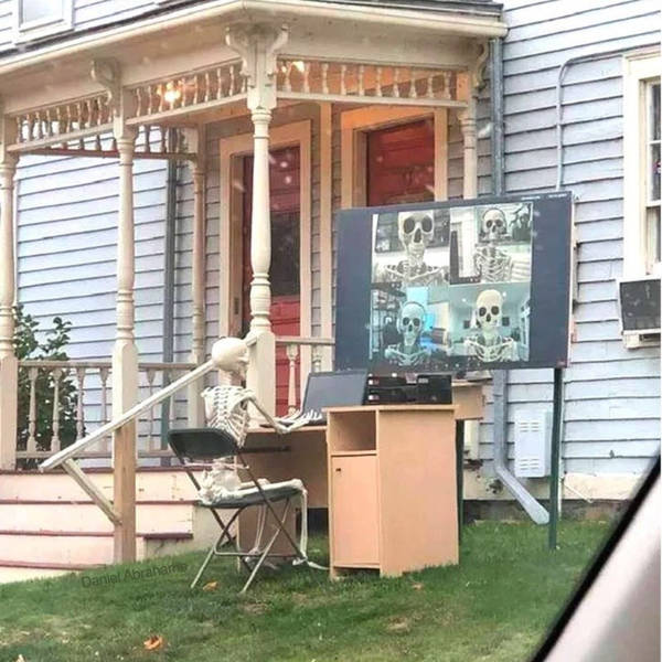 so dank it should be illegal 39 pics 4.html - 39 HD Photos | Premium Gallery 2026