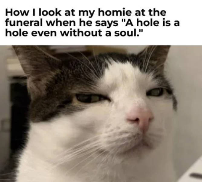 so dank it should be illegal 39 pics 4.html - 39 HD Photos | Premium Gallery 2026