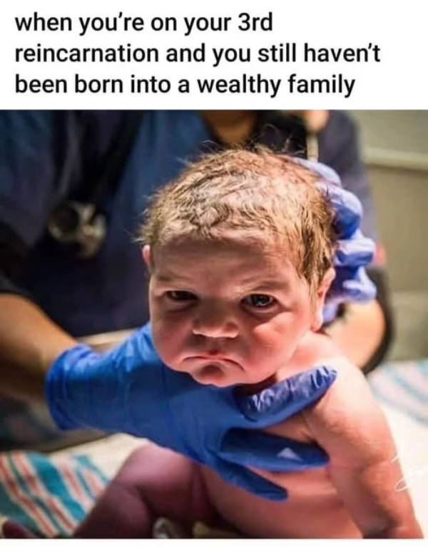 so dank it should be illegal 39 pics 4.html - 39 HD Photos | Premium Gallery 2026