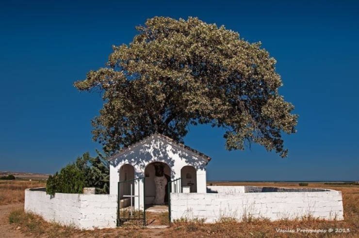 Uniquely Beautiful Moments Caught on Camera