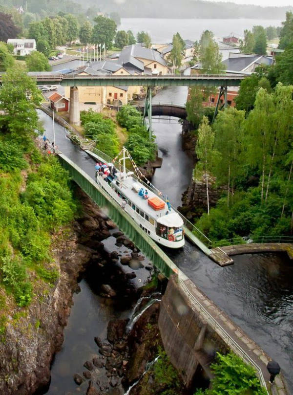 Uniquely Beautiful Moments Caught on Camera