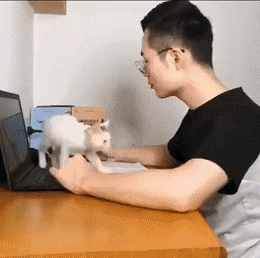 daily gifdump 54 gifs 6.html - 1 HD GIF | Premium Gallery 2026