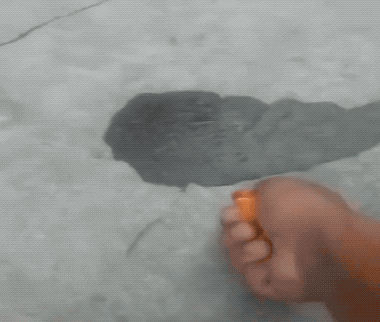 daily gifdump 54 gifs 6.html - 1 HD GIF | Premium Gallery 2026