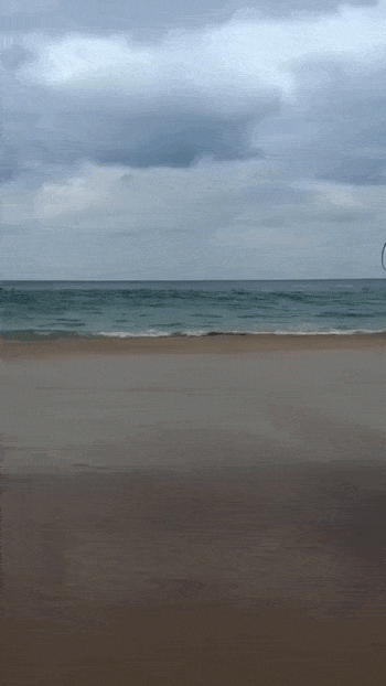 daily gifdump 54 gifs 6.html - 1 HD GIF | Premium Gallery 2026