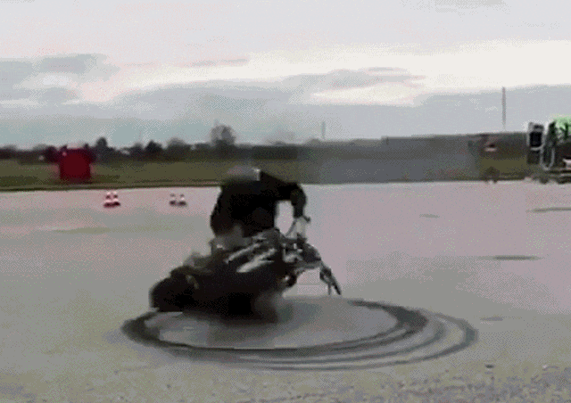 daily gifdump 54 gifs 6.html - 1 HD GIF | Premium Gallery 2026