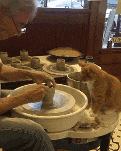 daily gifdump 54 gifs 6.html - 1 HD GIF | Premium Gallery 2026