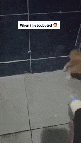 daily gifdump 54 gifs 6.html - 1 HD GIF | Premium Gallery 2026