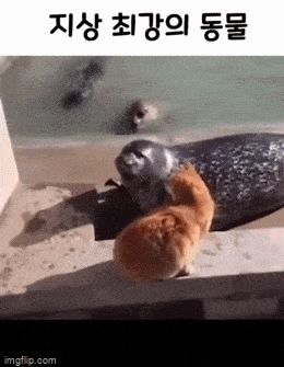 daily gifdump 54 gifs 6.html - 1 HD GIF | Premium Gallery 2026