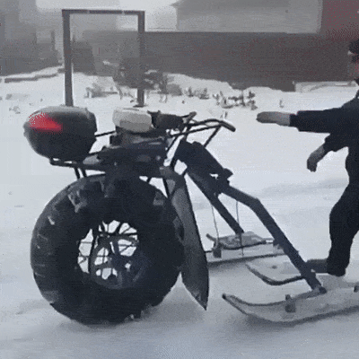 daily gifdump 54 gifs 6.html - 1 HD GIF | Premium Gallery 2026