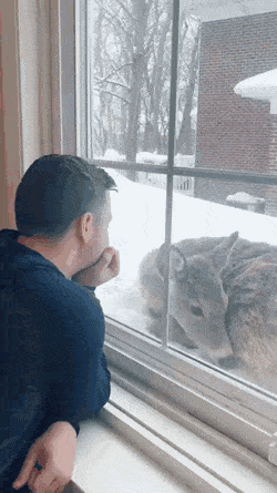 daily gifdump 54 gifs 6.html - 1 HD GIF | Premium Gallery 2026