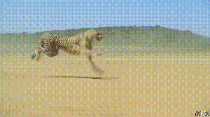 daily gifdump 54 gifs 6.html - 1 HD GIF | Premium Gallery 2026