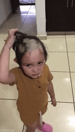 daily gifdump 54 gifs 6.html - 1 HD GIF | Premium Gallery 2026